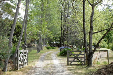 Birdwing Bed And Breakfast Weegena - Renee 3