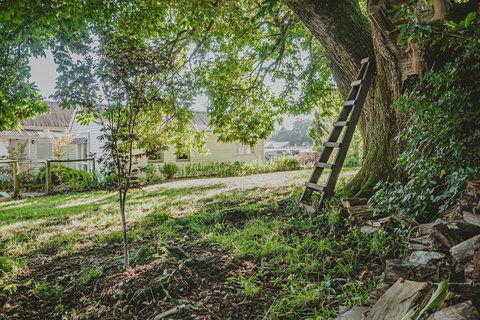 Blacksmiths Cottage - Qld Realsetate 1