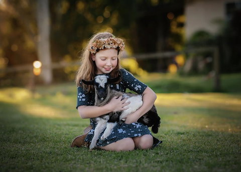 Blackwattle Farm - Qld Realsetate 1