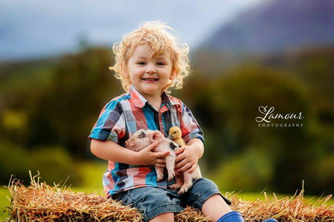 Blackwattle Farm - Qld Realsetate 0