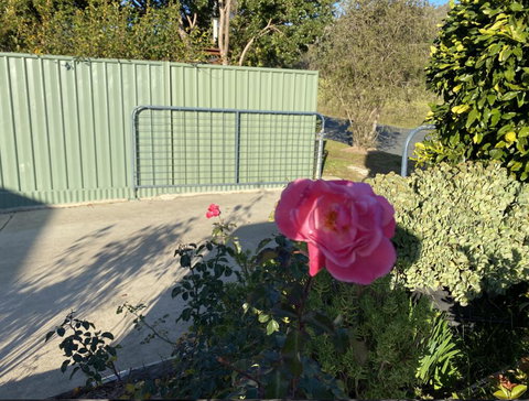 Blue Manor On Fairway - Qld Realsetate 2