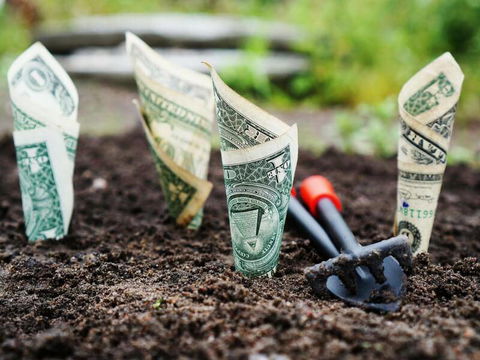 Soundbridge Financial Services - Renee 2