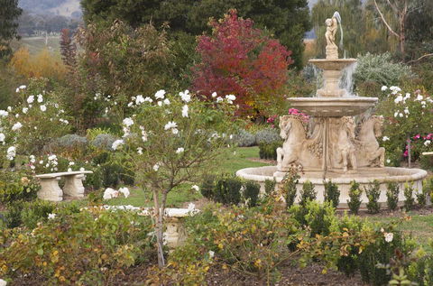 Brookfield Guest House - Renee 1