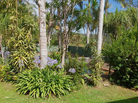 Byron Hinterland Hideaway - Swimm 0