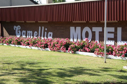 Camellia Motel - Internet Find 2