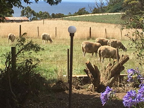 Cape View B And B - Internet Find 0