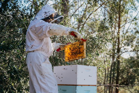 Capers Guesthouse, Barn And Cottage - Renee 2