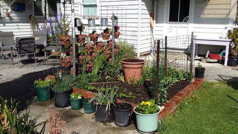 Carisbrook Cottage Queenscliff - Internet Find 1