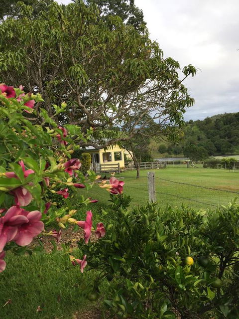 CedarBrae Country Stay - Renee 2