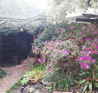 Charming country house close to Grafton - Renee