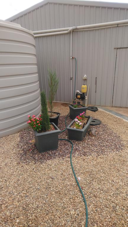 Chrissie's Dongara - Petrol Stations 2