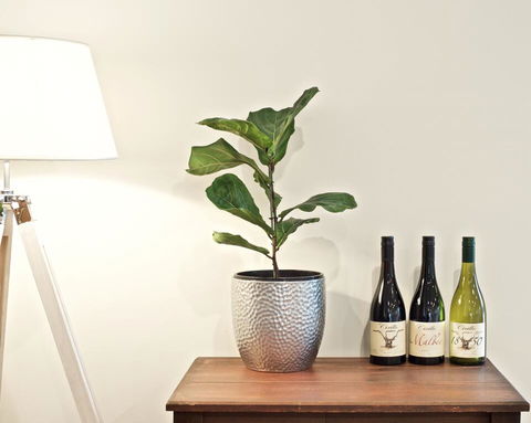 Cirillo Guest House - Petrol Stations 2