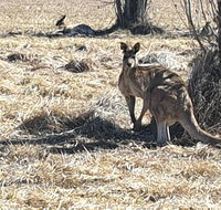 Clansman Motel - Renee