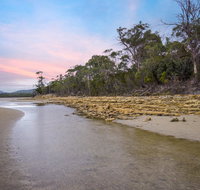Coalmines Escape - Renee