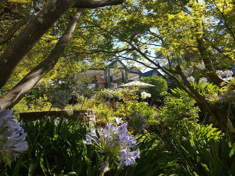 Cobb's Hill Homestead - Qld Realsetate 1