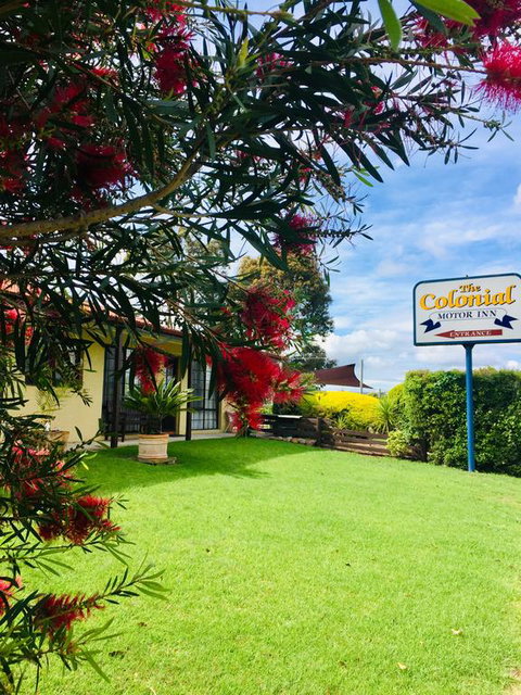 Colonial Motor Inn Pambula - Renee 3