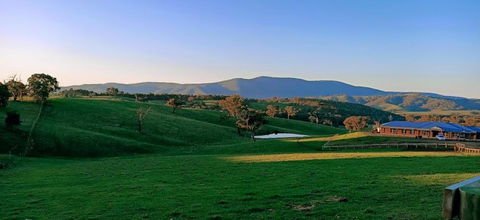 Country Budget - Renee 1