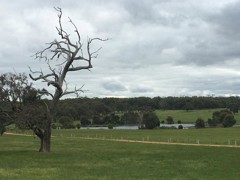 Country Farm House Close To Ballarat - Swimm 1
