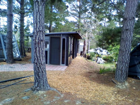 Country Studio - Renee 0