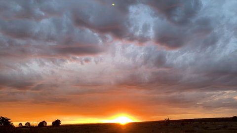 Creative 3D Sculpture Share - Internet Find 0