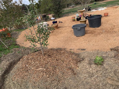 Creative 3D Sculpture Share - Internet Find 1