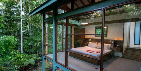 Crystal Creek Rainforest Retreat - Renee 3