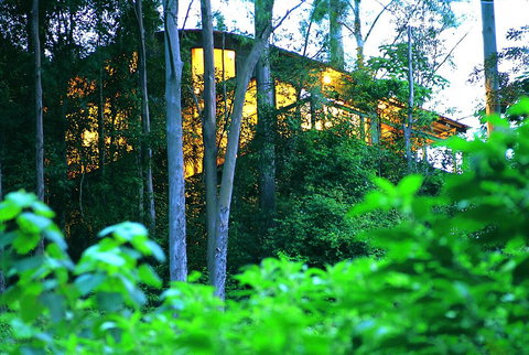 Crystal Creek Rainforest Retreat - Renee 1