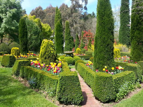 Devon Cottage - Swimm 1