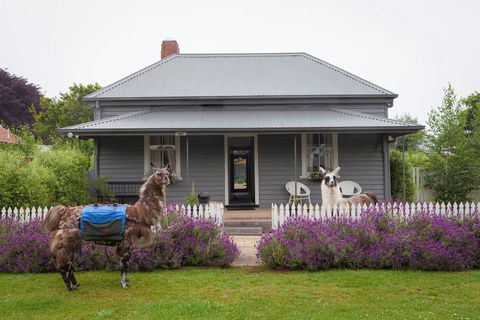 Domino House - Internet Find 0