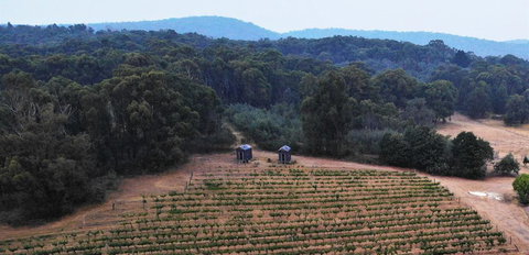 Double Oaks Tiny House - Renee 0