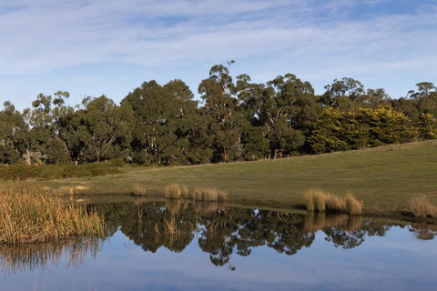 Double Oaks Tiny House - Renee 1