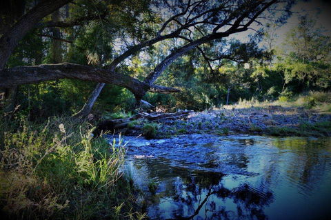 Eighteen Mile Cottage - Renee 1