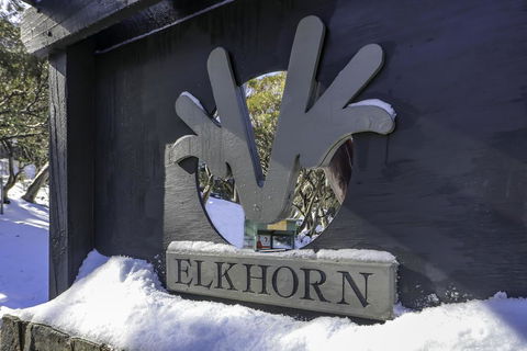 Elkhorn 11 - Swimm 2