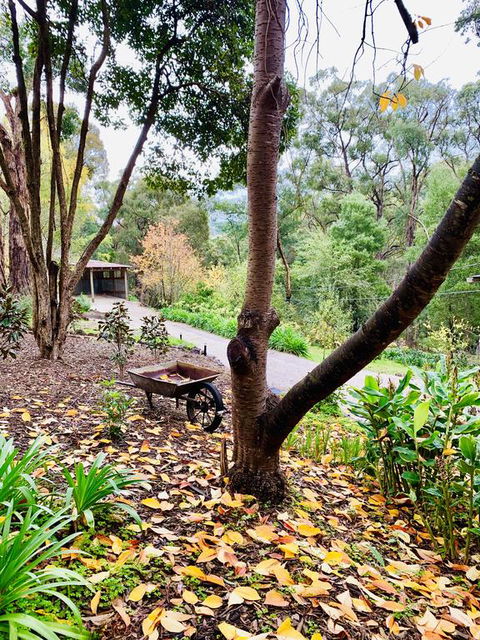 Emerald Star Cottages - Renee 3