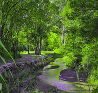 Esk Caravan Park  Rail Trail Motel - Renee