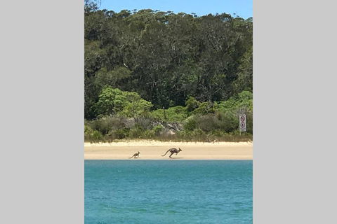 FAIRVIEW COTTAGE 25B - Waterfront Accommodation - Internet Find 0