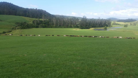 Farm Golf - Qld Realsetate 2
