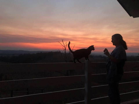 Farringdon Homestead - Renee 1