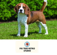 Fig Tree Retro Studio - Renee