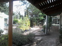 Friends in Harcourt North