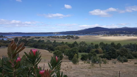 George River Park (House, 100 Acres, Animals, Views) - Renee 2