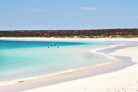 Gnaraloo Station - Homestead - Swimm 2