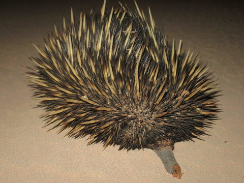 Gnaraloo Station - Homestead - Swimm 3