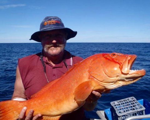Gnaraloo Station - Homestead - Swimm 1