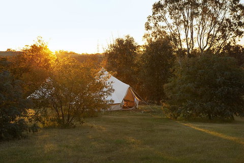 Goldfield Glamping - Swimm 2