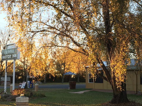 Guyra Motor Inn - Renee 2