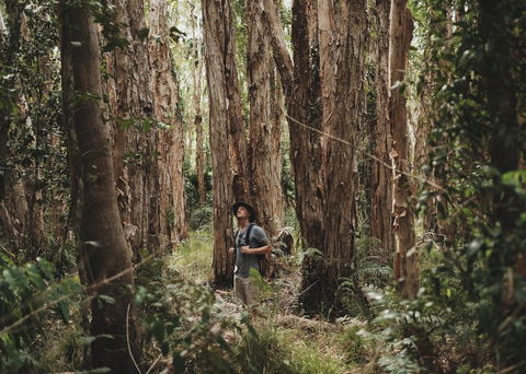 Habitat Noosa - Renee 0