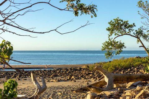 Halliday Bay Resort - Internet Find 1