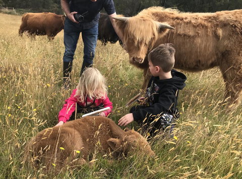 Highland Getaway - Qld Realsetate 3