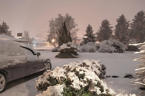 Highlands Motor Inn - Qld Realsetate 3